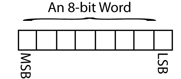 8 bit word